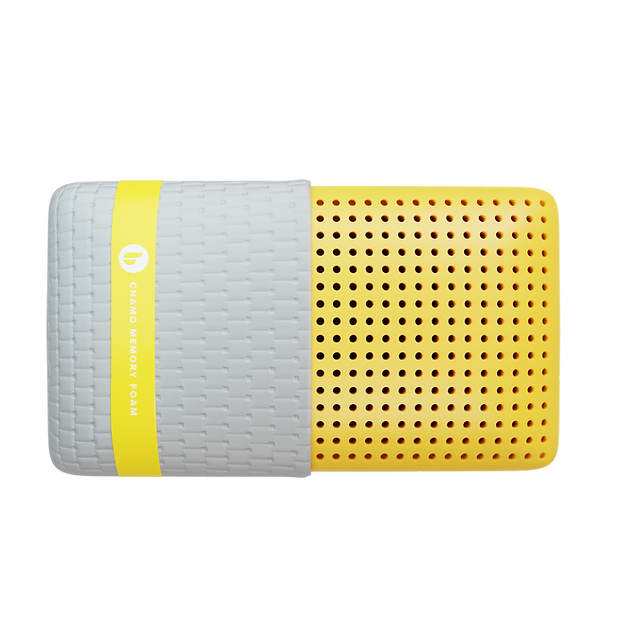 Blu Sleep Memory Foam Pillows