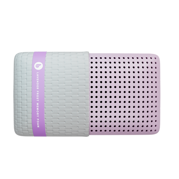 Blu Sleep Memory Foam Pillows